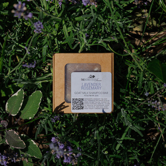 Shampoo Bar