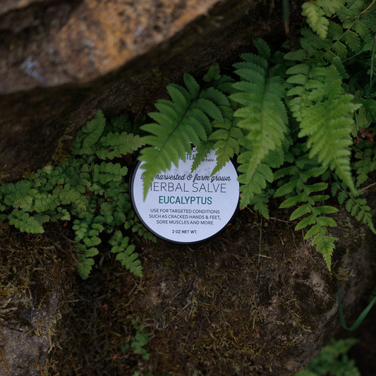 Herbal Salve